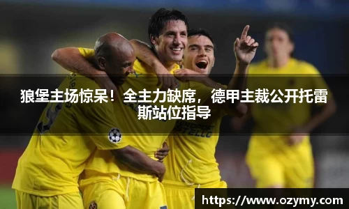 狼堡主场惊呆！全主力缺席，德甲主裁公开托雷斯站位指导