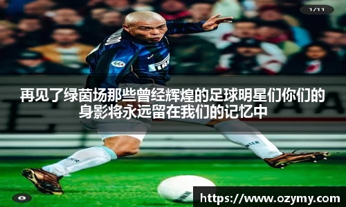 再见了绿茵场那些曾经辉煌的足球明星们你们的身影将永远留在我们的记忆中