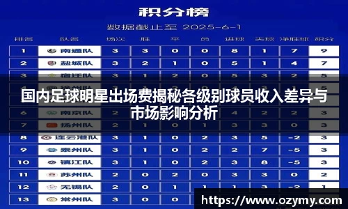 国内足球明星出场费揭秘各级别球员收入差异与市场影响分析